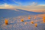 White Sands_32415